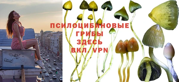 тгк Кукмор
