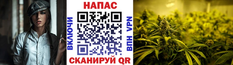Бошки Шишки Amnesia  Купить где  Лесной 