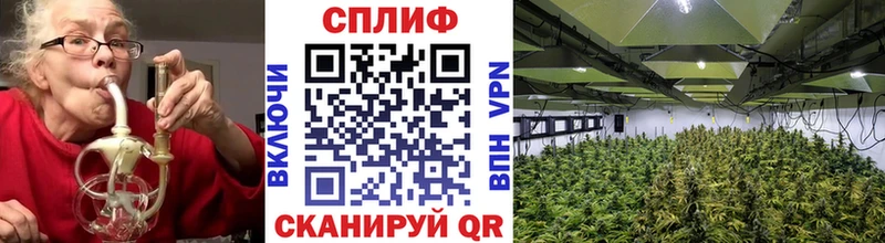 Конопля White Widow Лесной